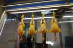 four corn fed chickens hanging in the Athens meat market