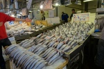 display of fish in the Athens fish market