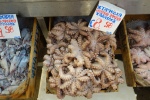 tray of small octopus in the Athens fish market
