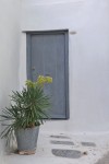 grey door with a pot plant in Anafiotika, Athens