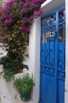 blue gate and vines in Anafiotika, Athens