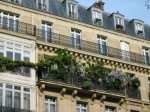 building in Paris with balconies and creepers
