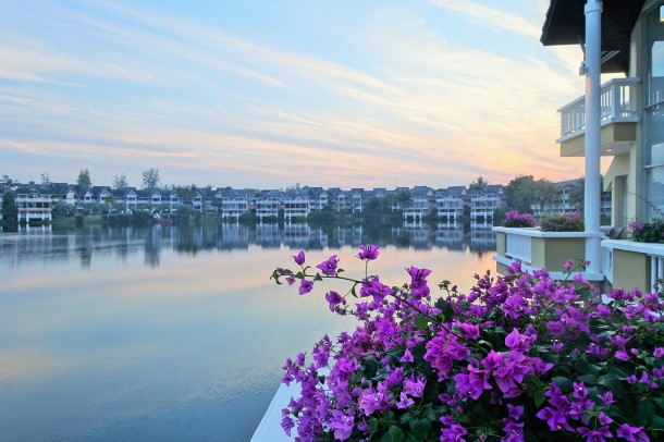 pink bouganvillea on a balcony overlooking a lagoon